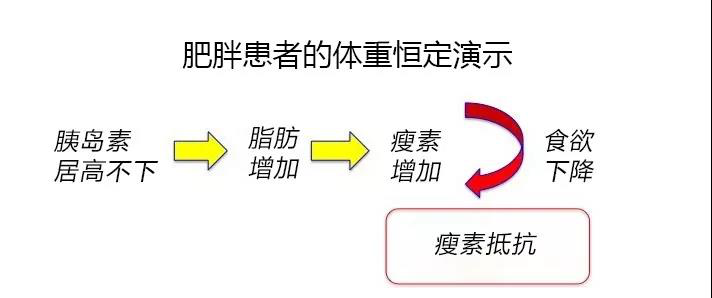 世贸通财富俱乐部|商务交流|资产优化|合作平台|冯仑